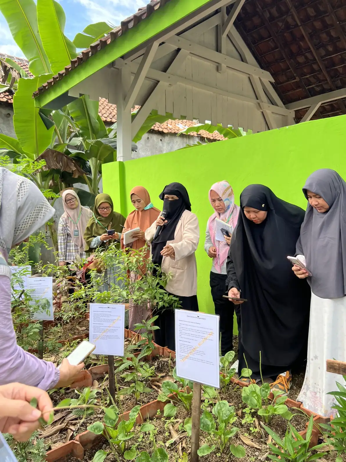 Edukasi Tanaman