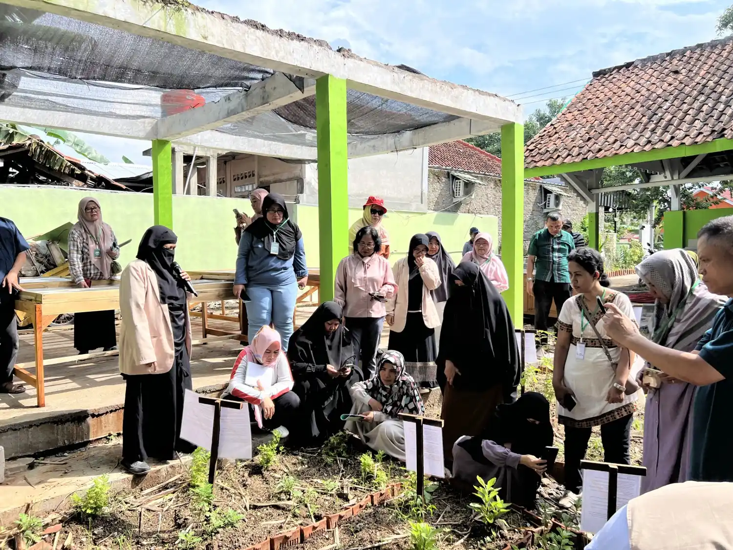 penanaman bibit