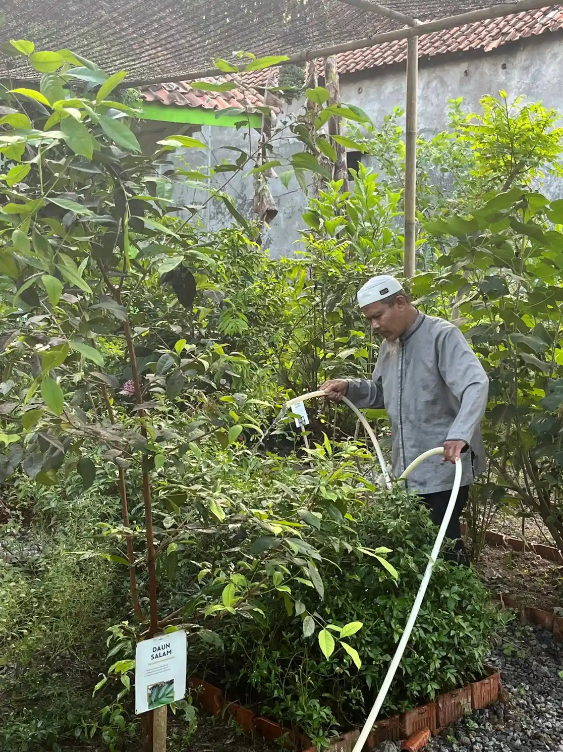 Perawatan Tanaman