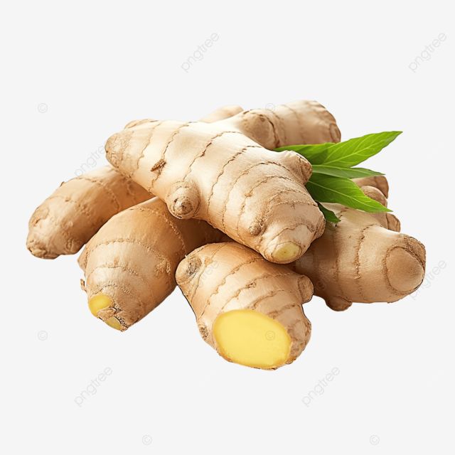 Jahe segar sebagai bahan herbal Boja Factory