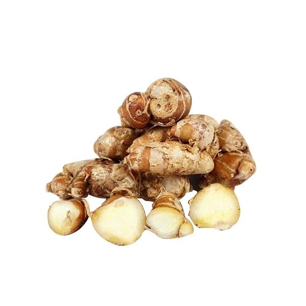 Kencur sebagai bahan herbal aromatik Boja Factory